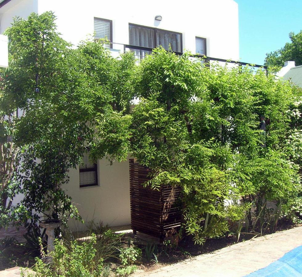 16 Rhodes-North Self Catering Apartment & Studio Stellenbosch Exterior photo